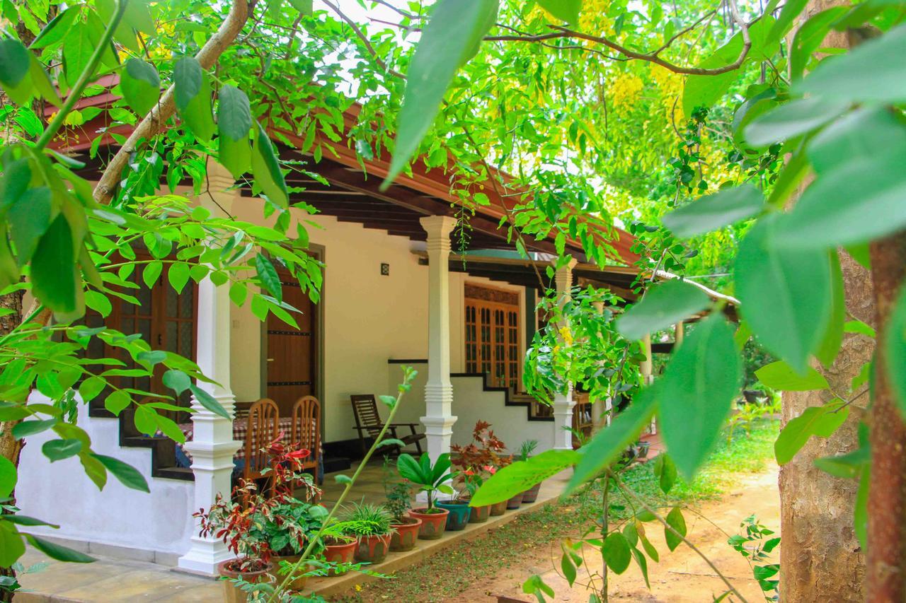 Sigiri Anu Homestay Sigiriya Exteriör bild