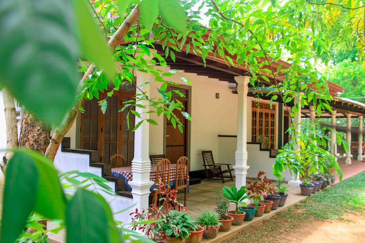 Sigiri Anu Homestay Sigiriya Exteriör bild