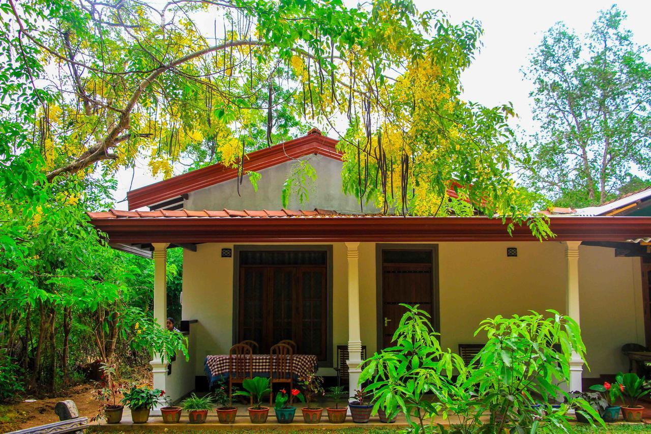 Sigiri Anu Homestay Sigiriya Exteriör bild